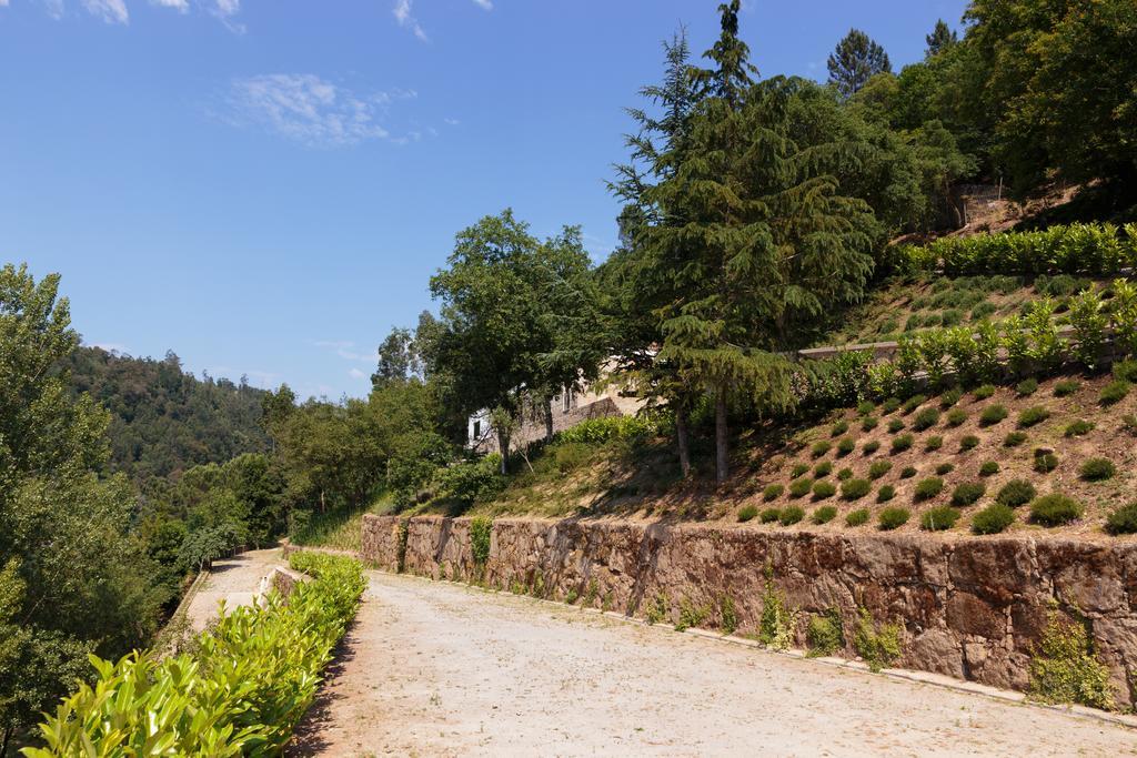 Douro Green Castelo de Paiva Zewnętrze zdjęcie