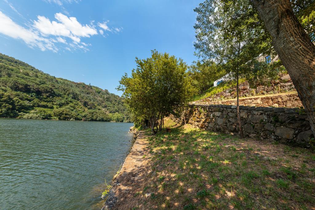 Douro Green Castelo de Paiva Zewnętrze zdjęcie